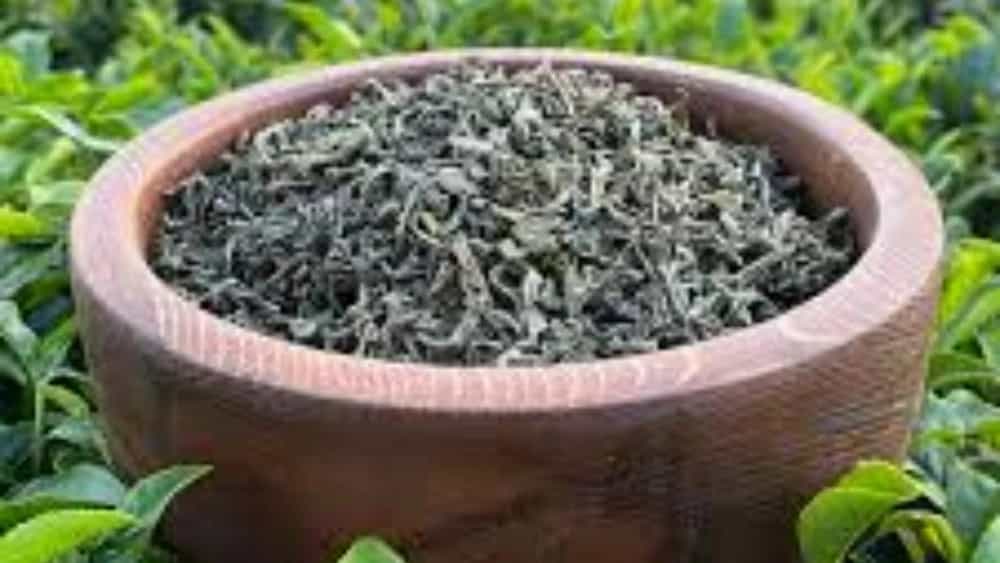 تجربه‌ طعم‌ واقعی‌ طبیعت خرید انواع‌ چای‌ سبز و سیاه‌ ارگانیک‌ شمال با کیفیت‌ ممتاز