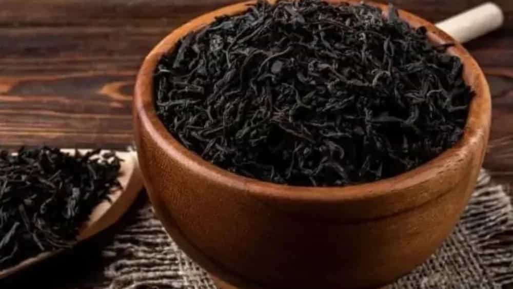 چای اصیل ایرانی هنر فرآوری سنتی برای مشتریان خاص تجاری